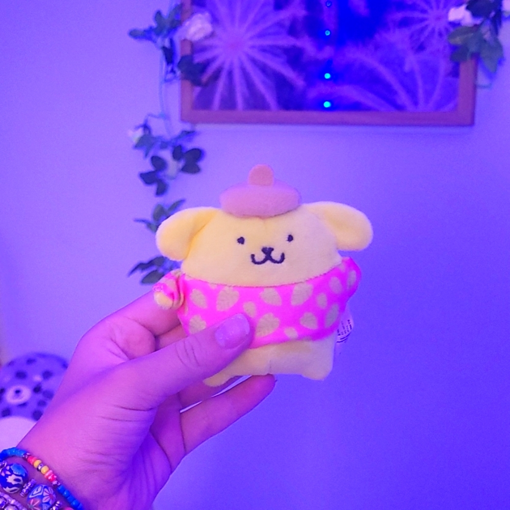 Sanrio clip